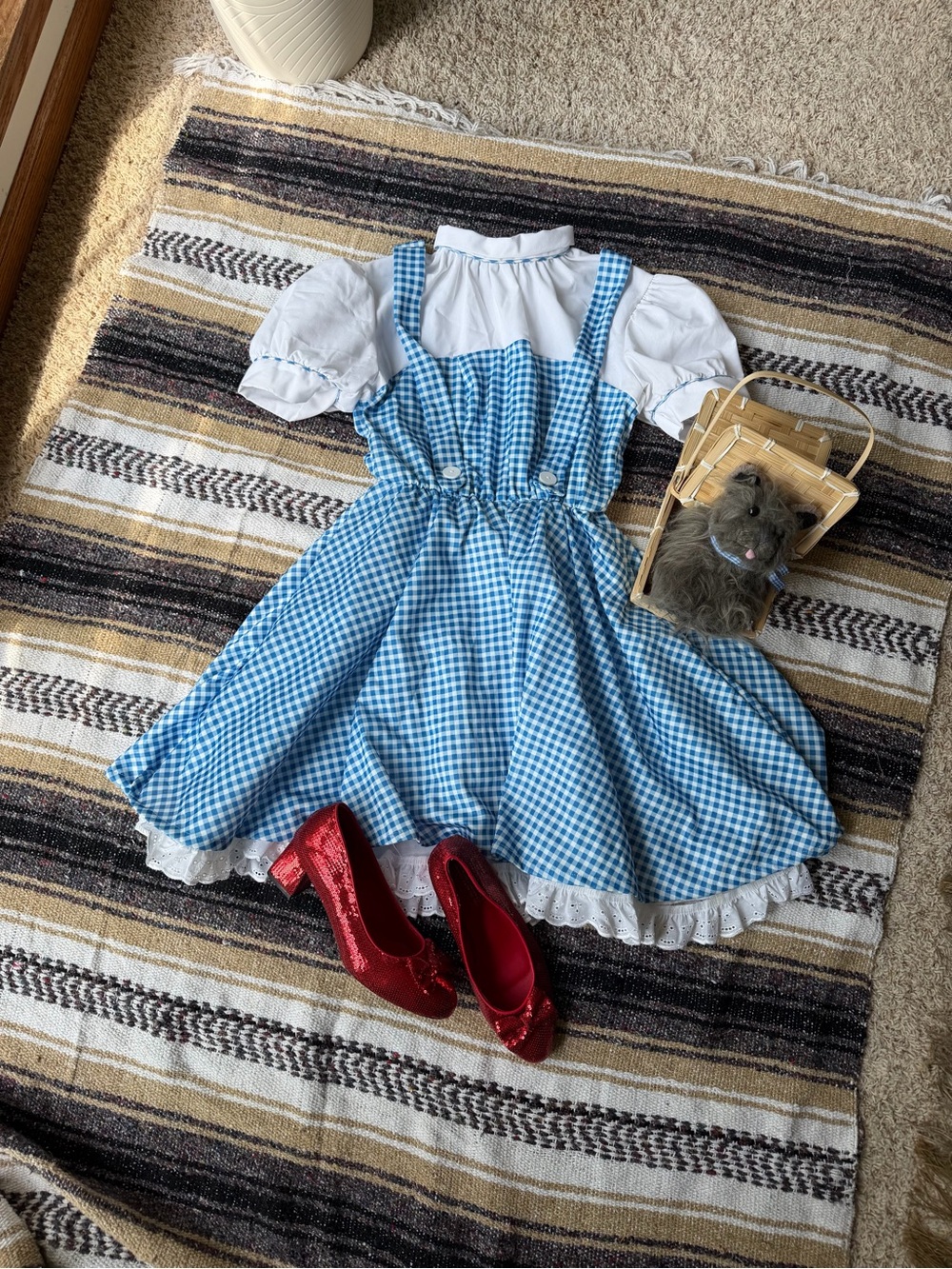 Wizard of Oz Dorothy Costume